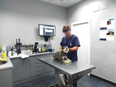 Clínica Veterinaria Santurtzi, Por muy poco dinero,...